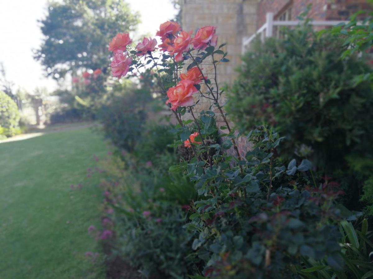 Clarens Cottages 外观 照片